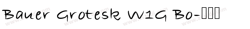 Bauer Grotesk W1G Bo字体转换